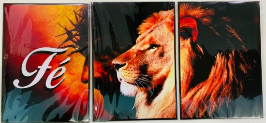 Imagem 1