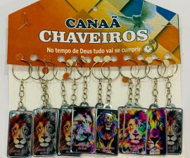 Chaveiro chapinha ferro c-3 Leo Colorido com 12 ps