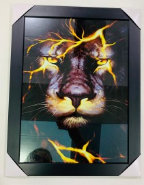 Quadro madeira com moldura e vidro individual ( Le�o  RAIO DE FOGO)