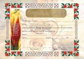 Certificado  de Casamento especial com 10 ps