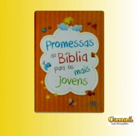 Livro promessa da Bblia para os mais jovens,cada