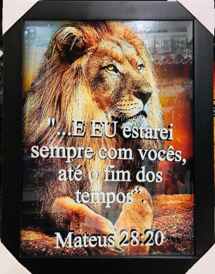 Imagem 1