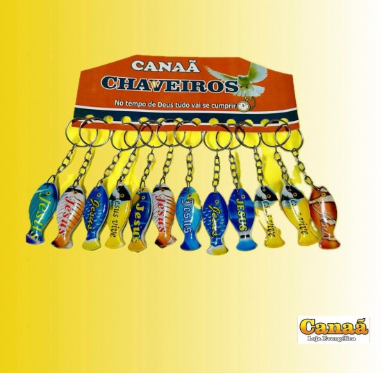 Imagem 1