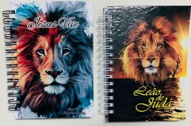 Agenda Permanente Leo 