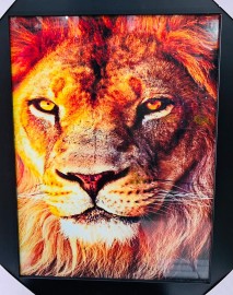 Quadro madeira com moldura e vidro individual ( CABE�A LE�O GRANDE)