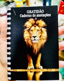 Caderno de anota��es (Le�o de Jud�), cada