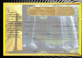 Certificado de Ordenao evangelista,com 10 ps